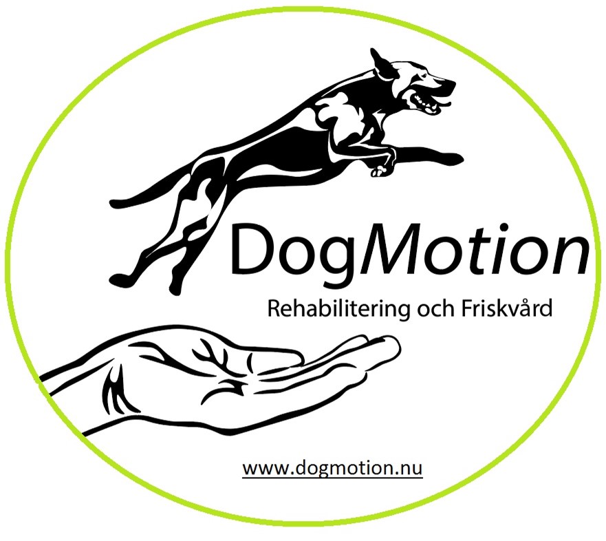 DogMotion Logotype